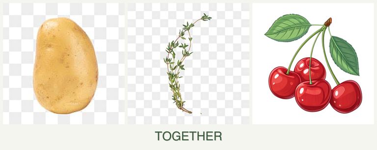 Can you plant potatoes, thyme and cherries together?