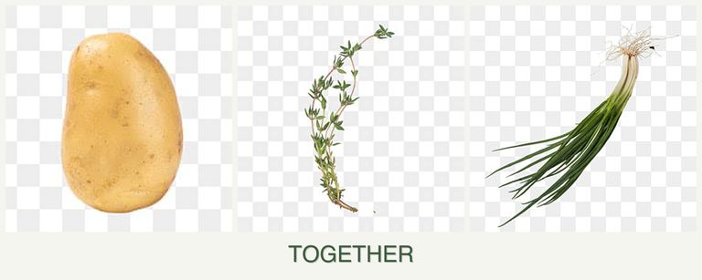 Can you plant potatoes, thyme and chives together?