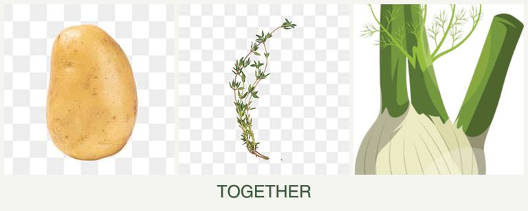 Can you plant potatoes, thyme and fennel together?