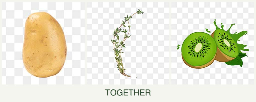 Can you plant potatoes, thyme and kiwi together?