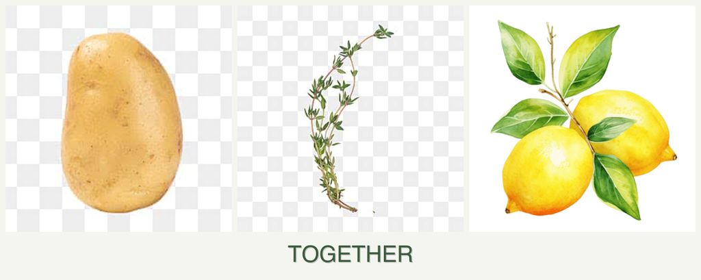 Can you plant potatoes, thyme and lemons together?