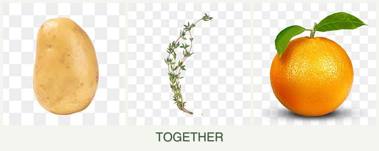 Can you plant potatoes, thyme and oranges together?