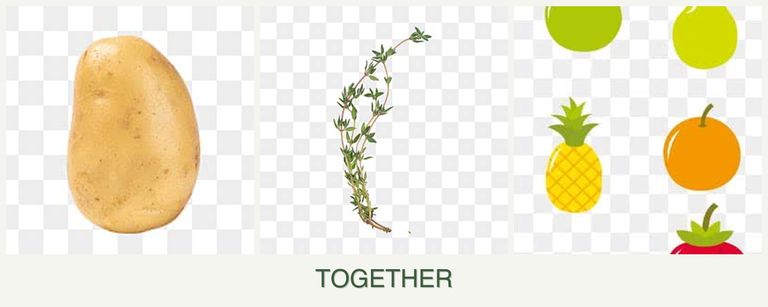 Can you plant potatoes, thyme and pears together?