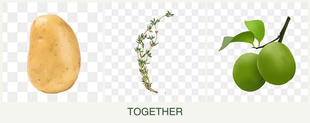 Can you plant potatoes, thyme and plums together?