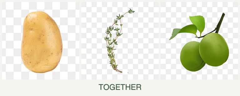 Can you plant potatoes, thyme and plums together?