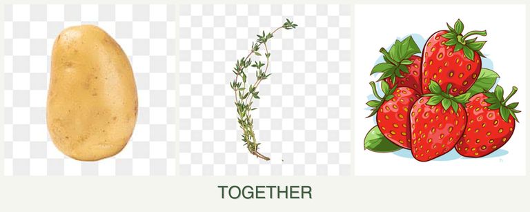 Can you plant potatoes, thyme and strawberries together?