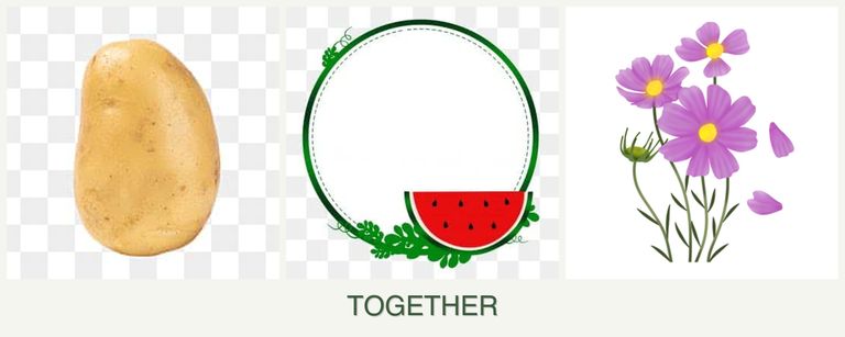 Can you plant potatoes, watermelons and cosmos together?