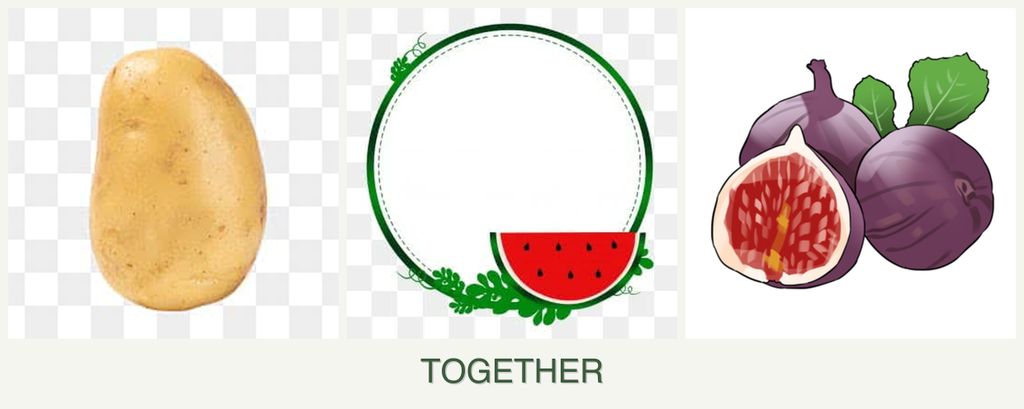 Can you plant potatoes, watermelons and figs together?
