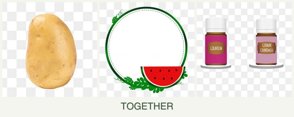 Can you plant potatoes, watermelons and geraniums together?