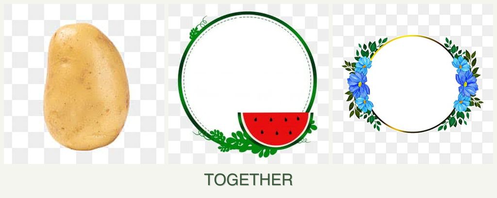 Can you plant potatoes, watermelons and zinnias together?