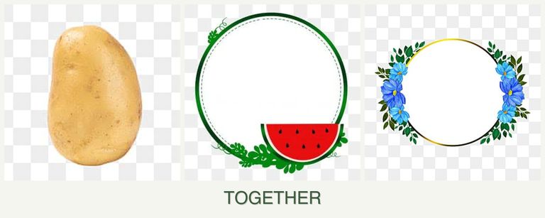Can you plant potatoes, watermelons and zinnias together?