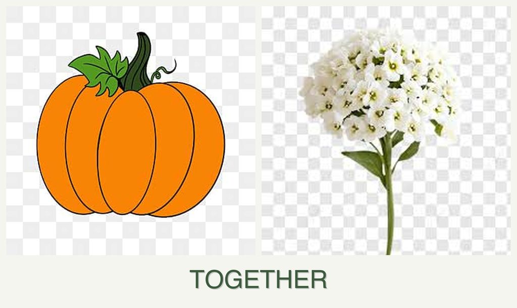 Can you plant pumpkin and alyssum together?