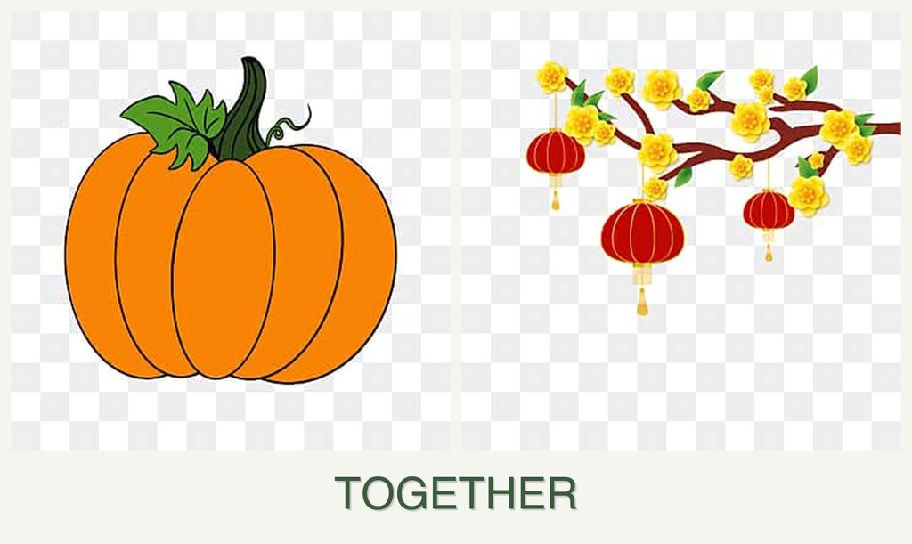 Can you plant pumpkin and apricots together?