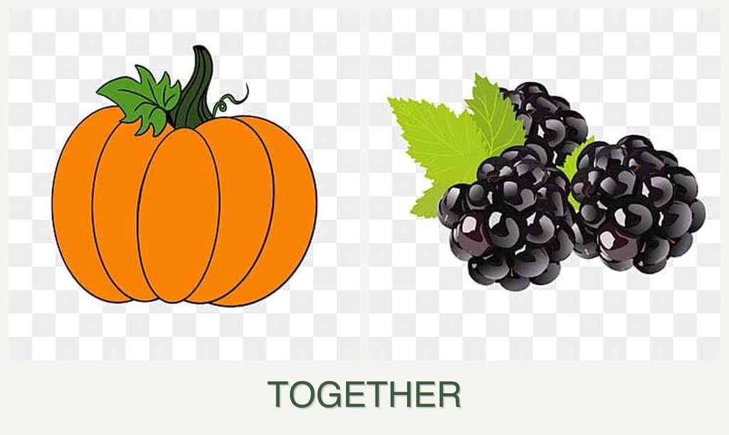 Can you plant pumpkin and blackberries together?