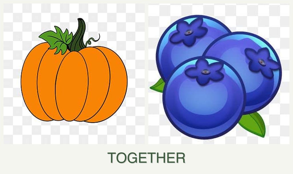 Can you plant pumpkin and blueberries together?