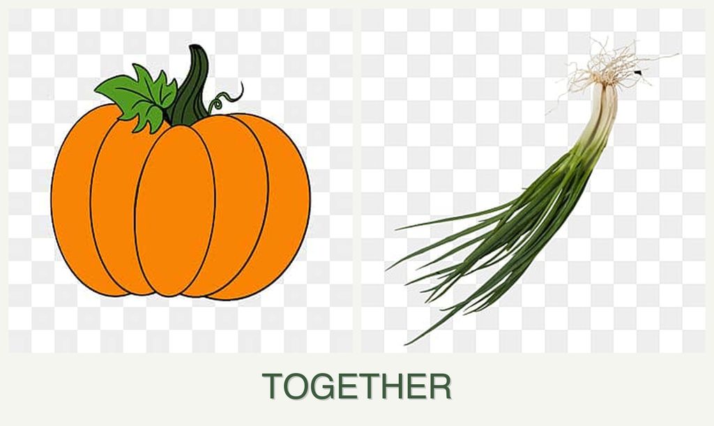 Can you plant pumpkin and chives together?