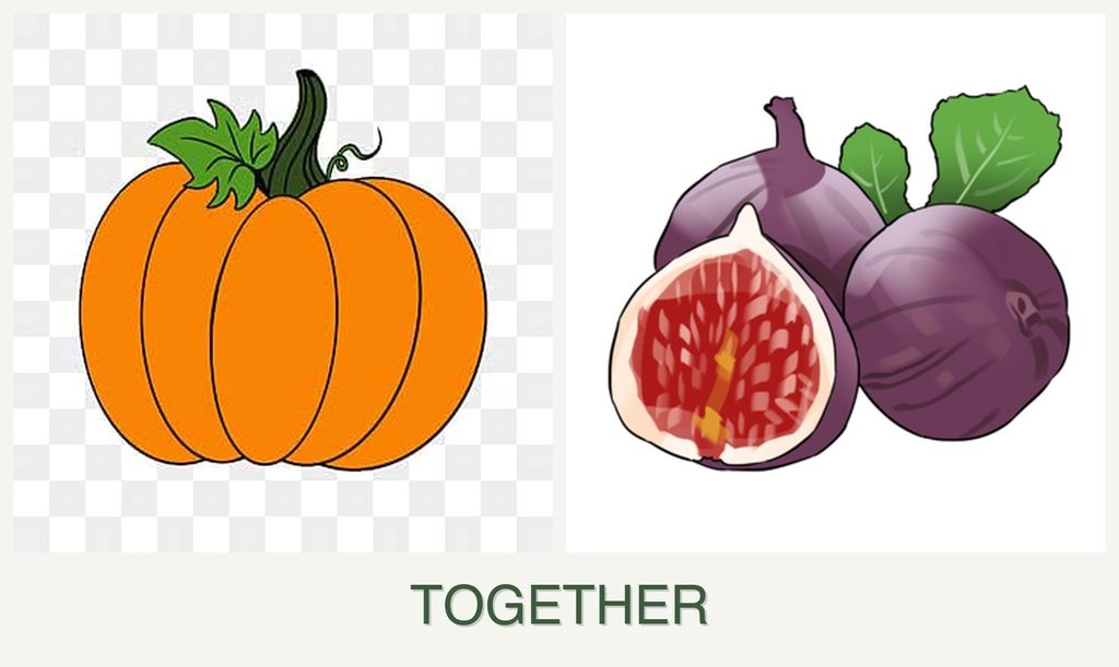 Can you plant pumpkin and figs together?
