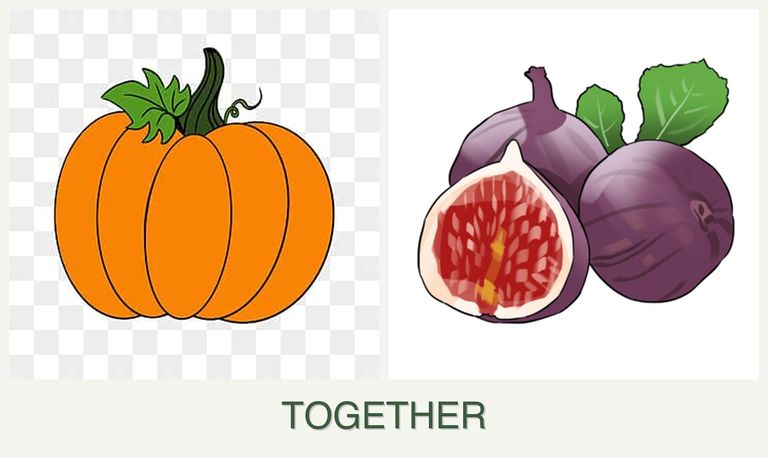 Can you plant pumpkin and figs together?
