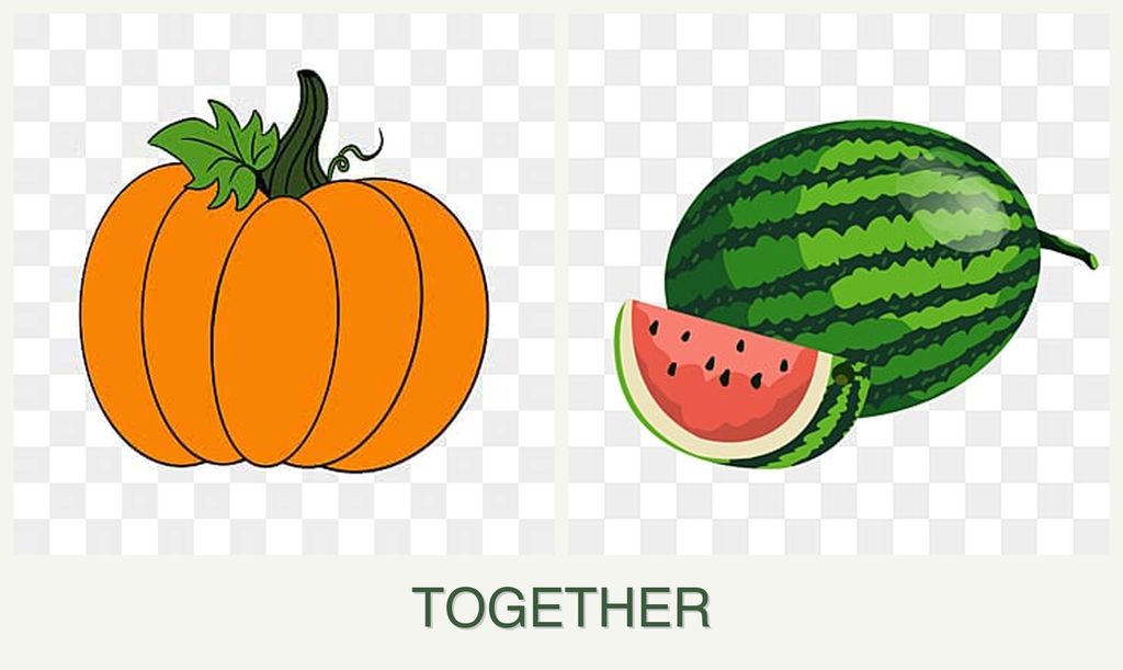 Can you plant pumpkin and melons together?