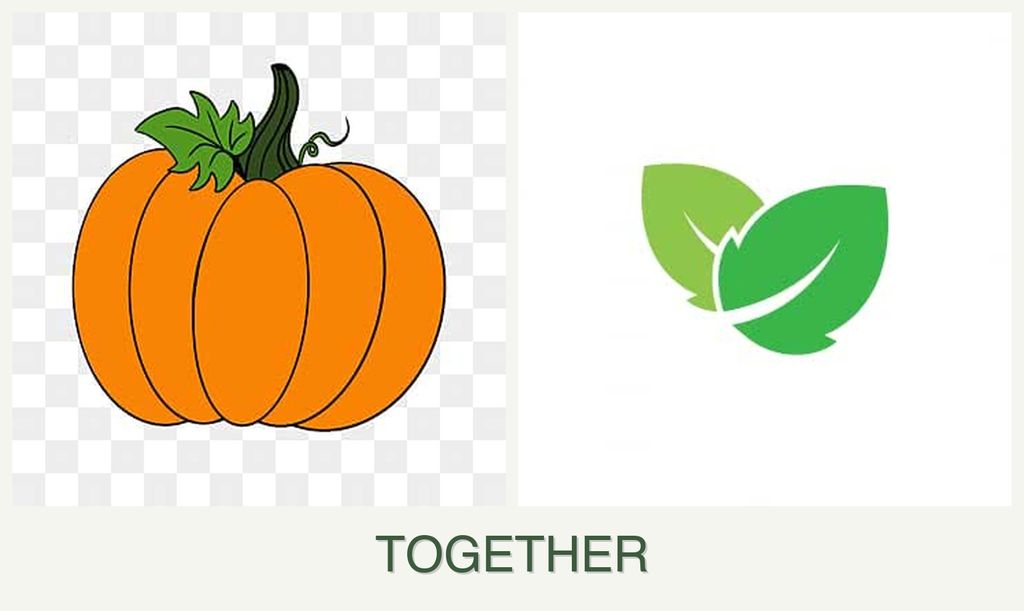 Can you plant pumpkin and mint together?