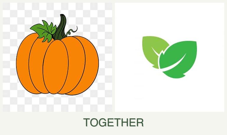 Can you plant pumpkin and mint together?