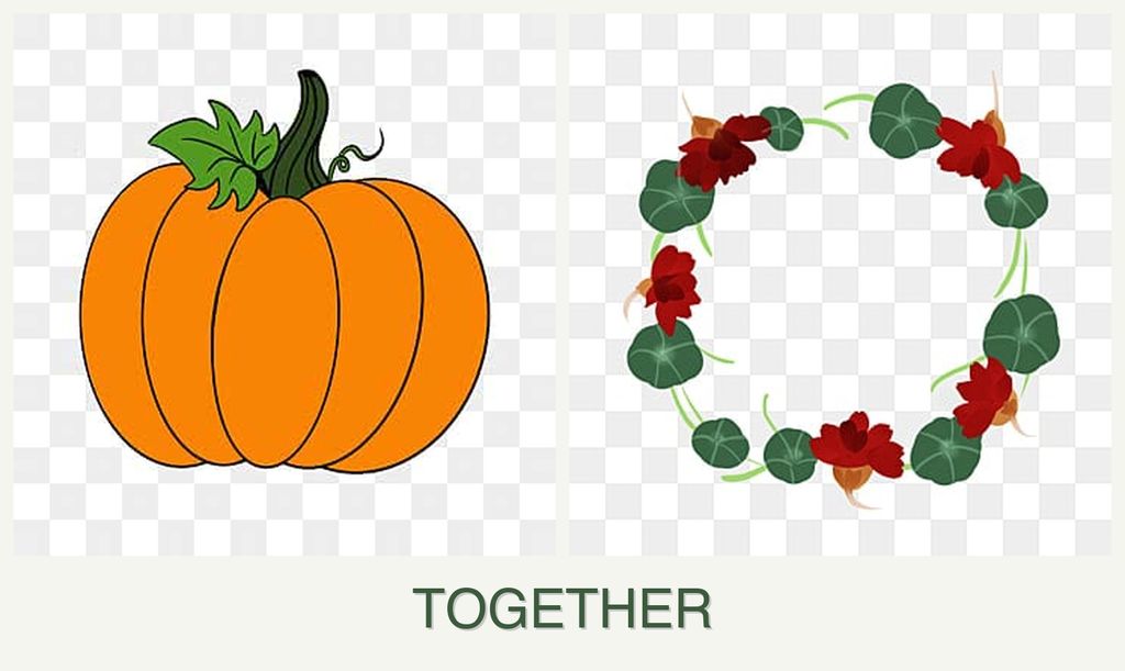 Can you plant pumpkin and nasturtiums together?