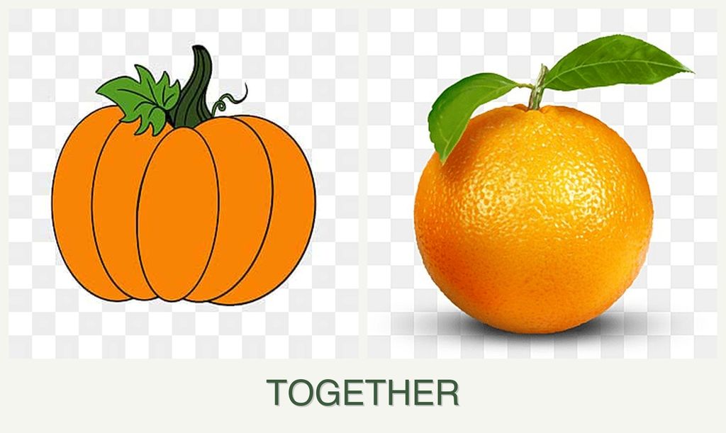 Can you plant pumpkin and oranges together?