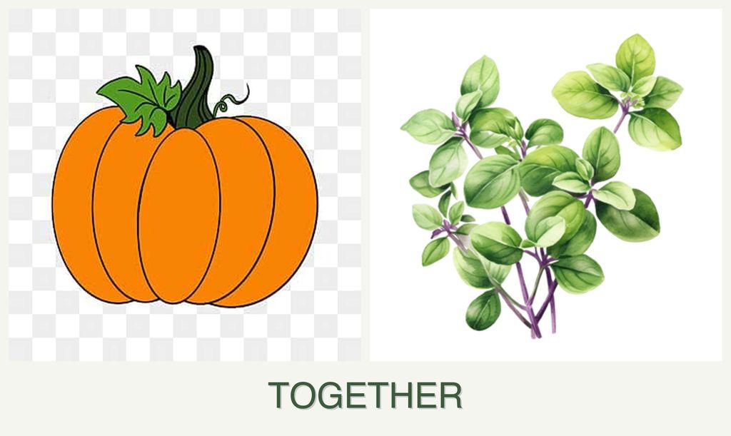 Can you plant pumpkin and oregano together?