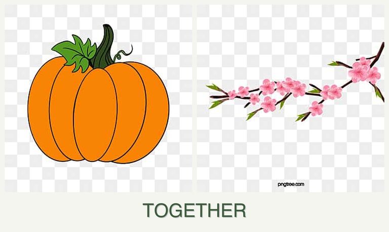 Can you plant pumpkin and peaches together?