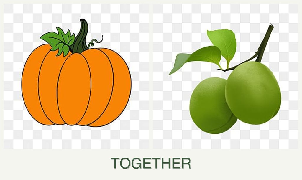 Can you plant pumpkin and plums together?