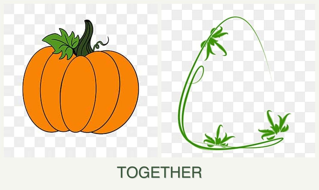 Can you plant pumpkin and tarragon together?