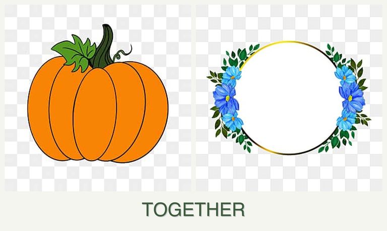 Can you plant pumpkin and zinnias together?