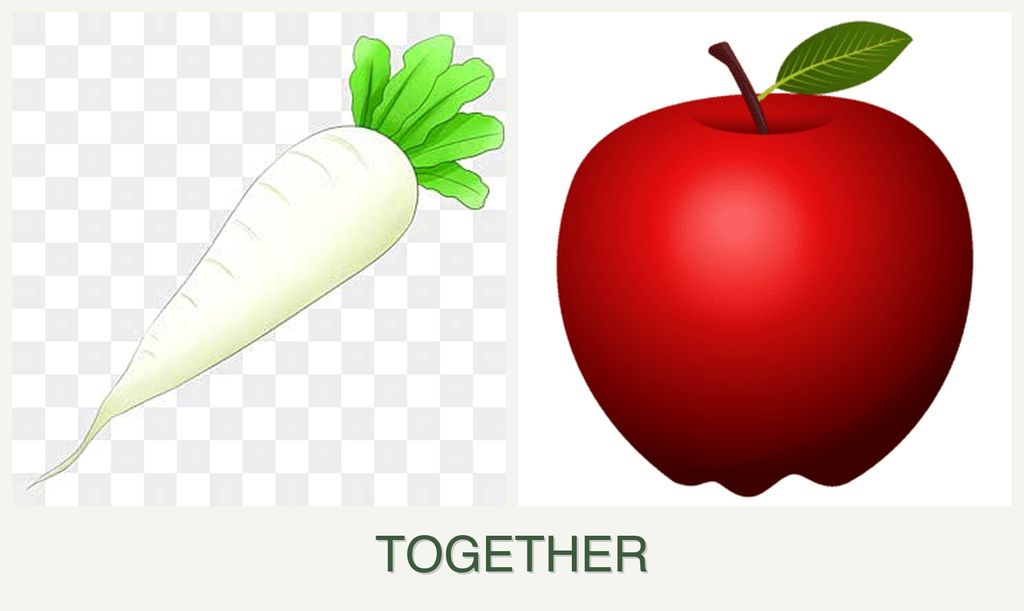 Can you plant radishes and apples together?