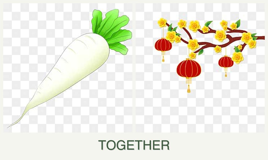 Can you plant radishes and apricots together?