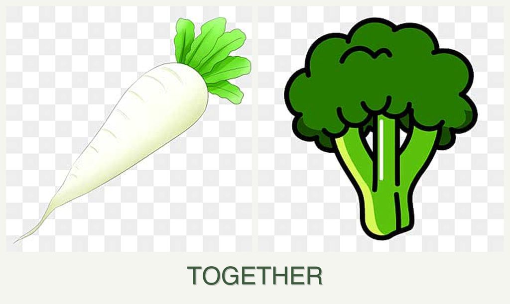 Can you plant radishes and broccoli together?