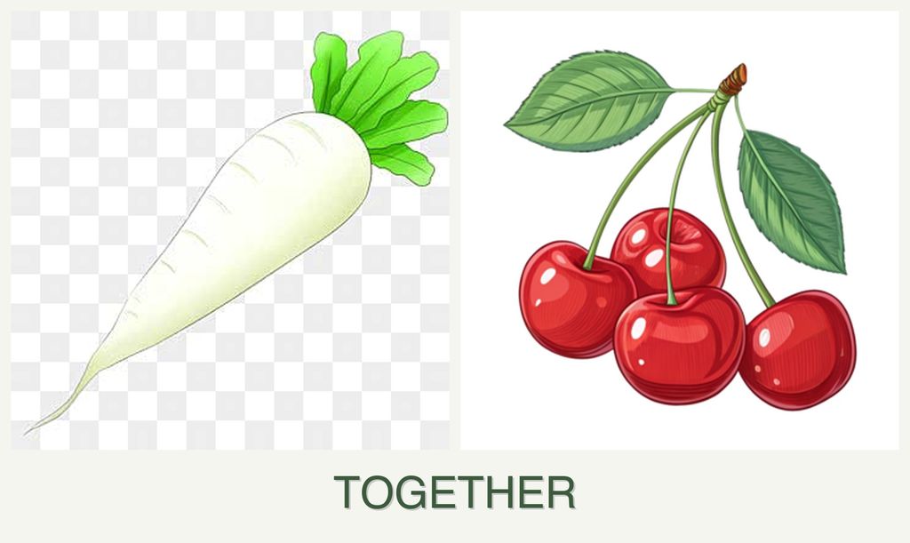 Can you plant radishes and cherries together?