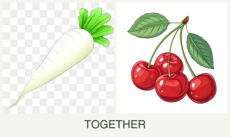 Can you plant radishes and cherries together?