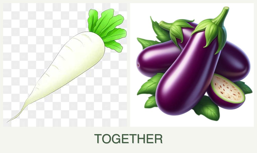 Can you plant radishes and eggplant together?