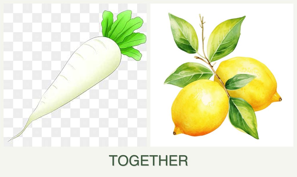 Can you plant radishes and lemons together?