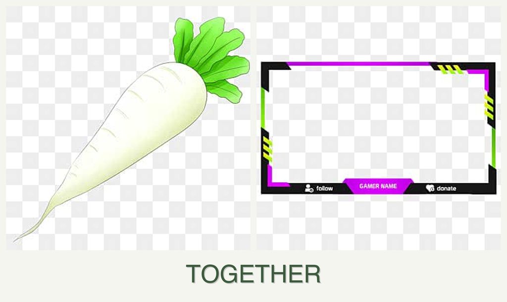 Can you plant radishes and limes together?