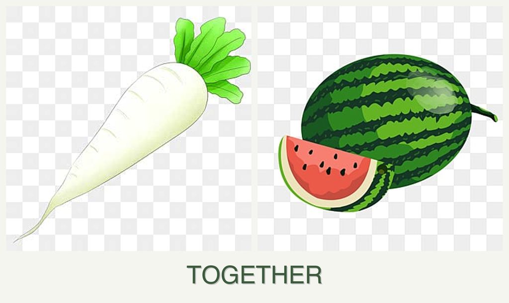 Can you plant radishes and melons together?