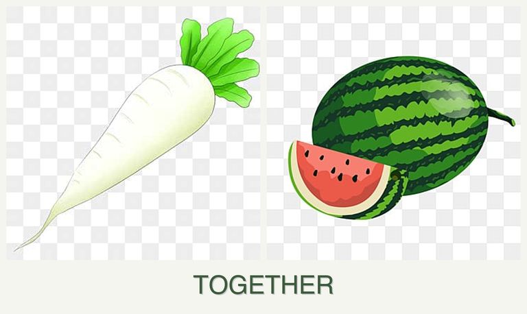Can you plant radishes and melons together?