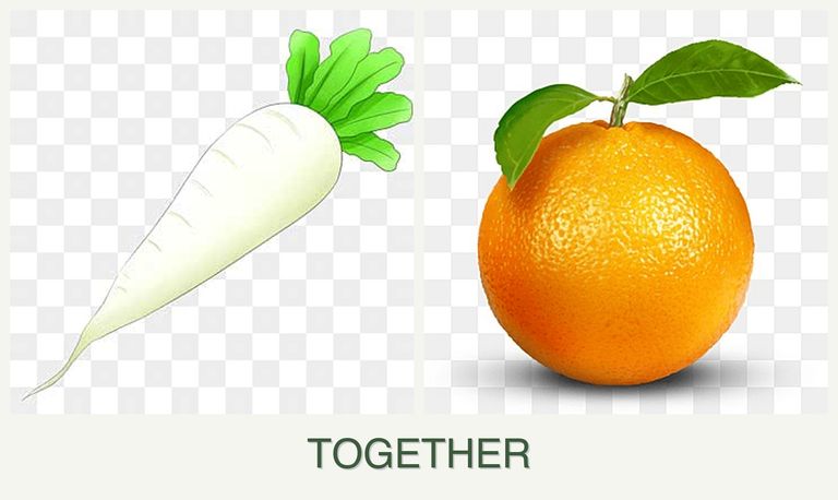 Can you plant radishes and oranges together?