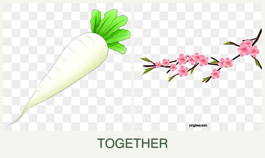 Can you plant radishes and peaches together?