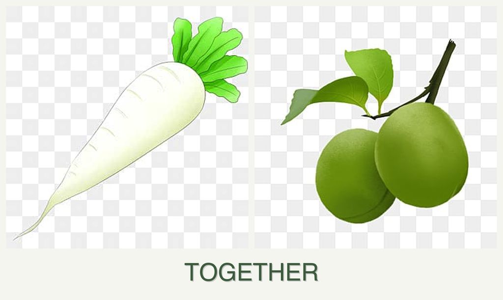 Can you plant radishes and plums together?