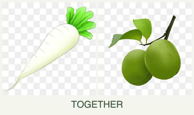 Can you plant radishes and plums together?