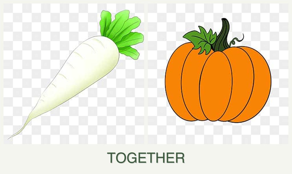 Can you plant radishes and pumpkin together?