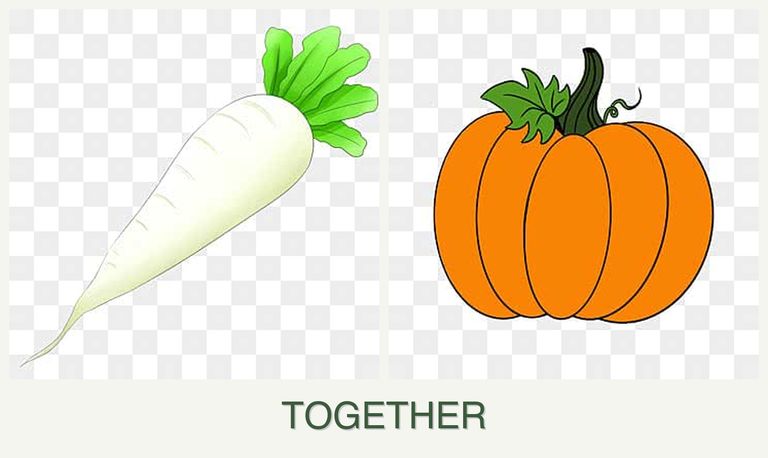 Can you plant radishes and pumpkin together?