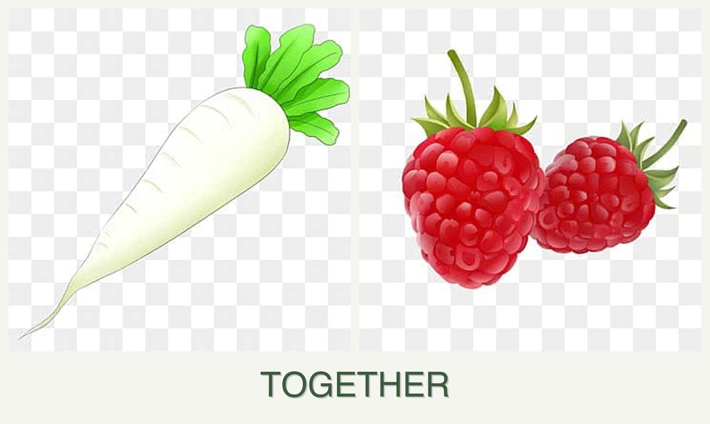 Can you plant radishes and raspberries together?