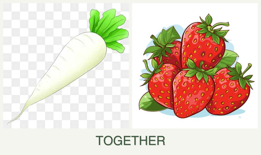 Can you plant radishes and strawberries together?